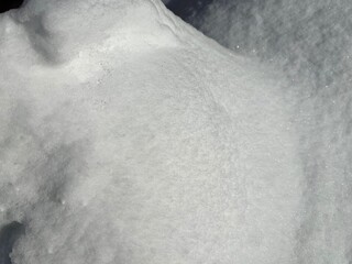 雪　冬　白　コントラスト
Snow winter White contrast