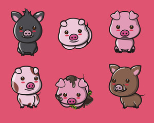 all kinds of cute pigs