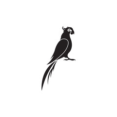 Parrot icon vector illustration design