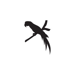 Parrot icon vector illustration design