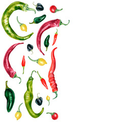 Board of various hot chili peppers watercolor illustration isolated on white. Signboard of tabasco, habanero, jalapeno hand drawn. Design element for menu, market, sign, ingredients of dishes, frame