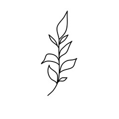branch with leaves foliage line art illustration