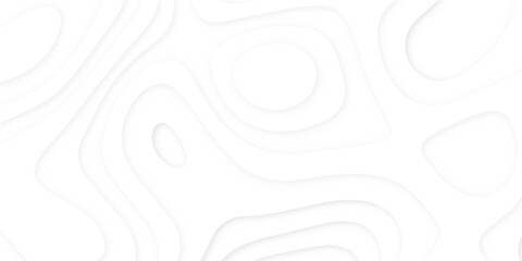 Abstract wavy line 3d paper cut white background. Topographic canyon geometric map relief texture with curved layers and shadow. Abstract realistic papercut decoration textured with wavy layers	