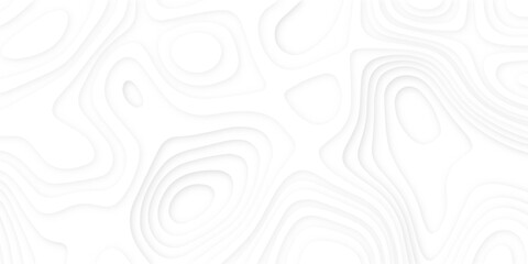 Abstract wavy line 3d paper cut white background. Topographic canyon geometric map relief texture with curved layers and shadow. Abstract realistic papercut decoration textured with wavy layers	