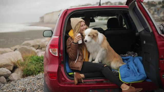 A girl with a dog is sitting in the trunk of an SUV with a border collie dog that kisses and licks her in Normandy
