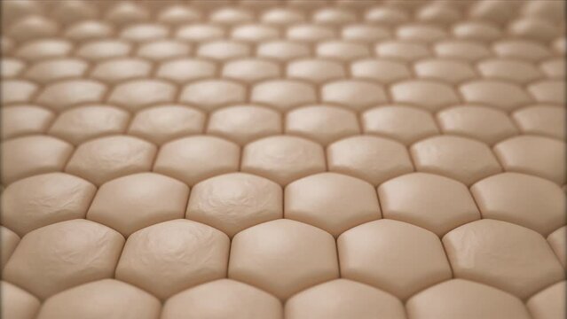 3d animation of cream and lotion drops into dry skin cells and then turns into a healthy skin.