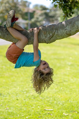 8 years old boy climbing high tree in the park. Overcoming the fear of heights. Happy childhood. Kid trying to climbing on the tree.