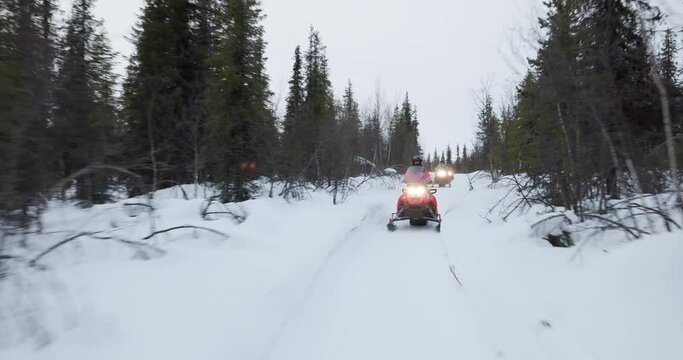Snowmobile tour through a forest in Lapland, Sweden