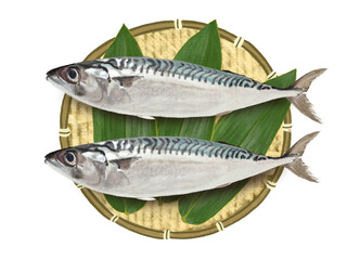 サバ（ザル、笹の葉付き）