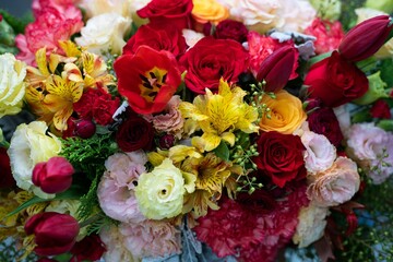 colorful flowers