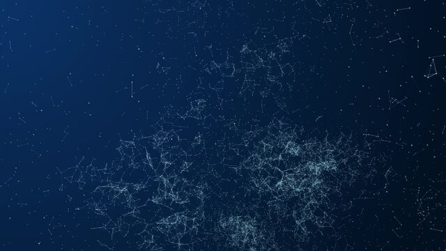 Womb development of the fetus within the plexus