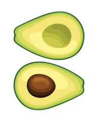 Avocado fruit vector illustration food avocados fruits