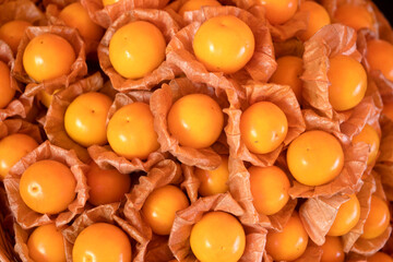 Physalis fruit or Cape Gooseberries fruit , Goldenberry in nature background.