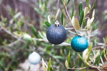 Christmas baubles on olive tree in sunny backyard, festive season in warm places and in the Southern Hemisphere