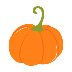 illustration of pumpkin on a white background