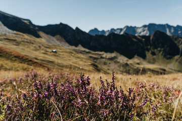 Fototapeta premium Blick auf Edel Hütte im Zillertal