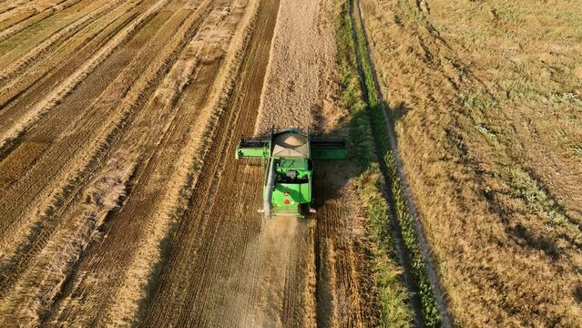 John Deere combine harvester on grain harvest. Wheat harwesting in field. Wheat planting. Wheat and corn markets in crisis world&rsquo;s breadbasket. Kazakhstan Alma-Ata, Aug 12, 2022.