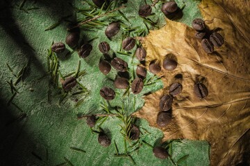 Still life on the kitchen table. Brown roasted beans on a dark green background