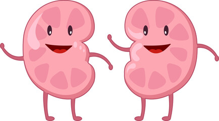 Kidney of human . Cartoon characters .