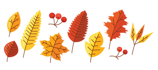 Autumn leaves elements vector illustration