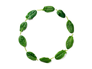 Pattern from baby spinach in round frame isolated