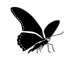 Plakat black and white butterfly logo