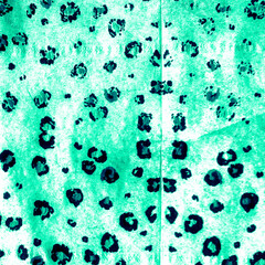 Minimal Animal Stripes. Zebra Prints. Mint