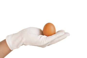 a hand in a white glove holds an egg. Healthy and safe food. Organic products. Farm products