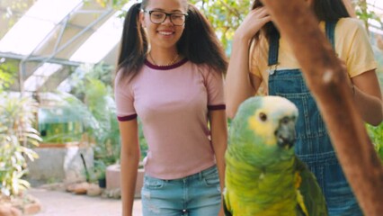 Girls, friends and touching zoo parrot in school, education or learning field trip to aviary, animal community center or wildlife sanctuary. Happy smile, nervous students and bird in biology habitat