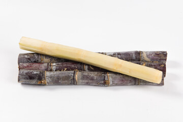 fresh sugarcane isolated on white background.