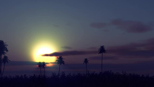 Sunrise over palm time lapse