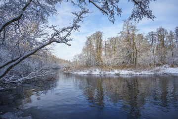 river in winter forest
