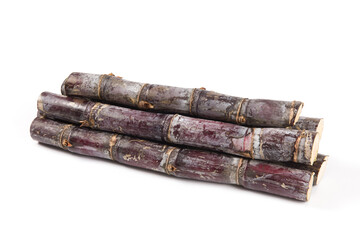 fresh sugar cane isolated on white background.