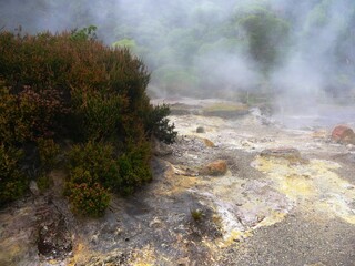 Fumerolles et volcanisme à la caldeiras d'Achada de Furnas sur l'île de Sao Miguel dans l'archipel des Açores au Portugal. Europe