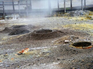 Cuisson du plat typique local, les cozido das Furnas, ragoût portugais dans le sol volcanique de la caldeiras d'Achada de Furnas sur l'île de Sao Miguel dans l'archipel des Açores au Portugal. Europe