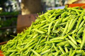 Green Peas Selling in indian local market or street, Indian Fresh and tasty peas sale, vendor selling peas in roadside