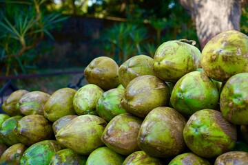 Green coconut water selling in the streets, selling coconut water on roadside, Green coconut water is good for health