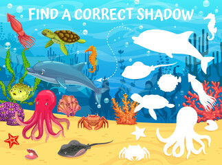 Find a correct shadow cartoon underwater landscape and animals. Kids matching game with dolphin, turtle, stingray, octopus and crab. Shell, puffer fish, squid or starfish silhouettes in ocean water