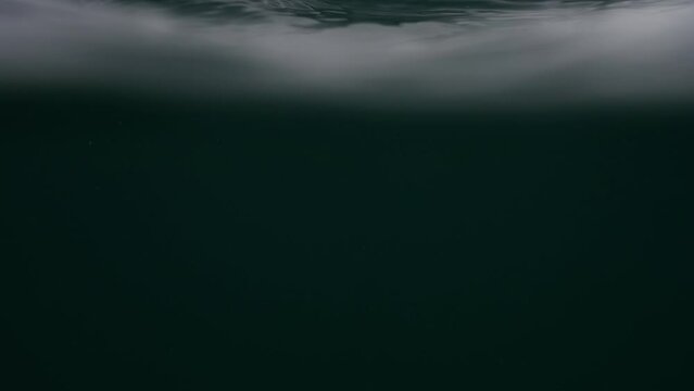 Waves in an agitated ocean. Camera goes underwater several times. Out of focus surfers in background.