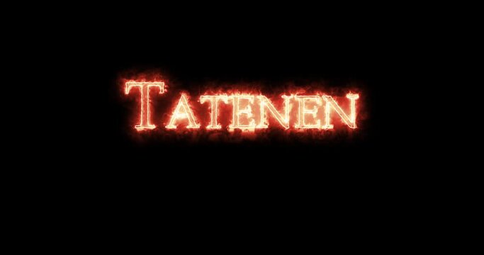 Tatenen, ancient egyptian deity, written with fire. Loop