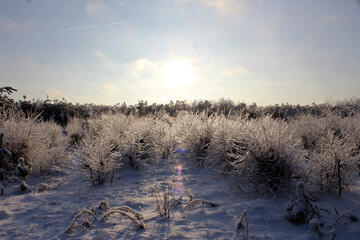 winter bright sun the effects of icy rain winter landscape snow and ice
