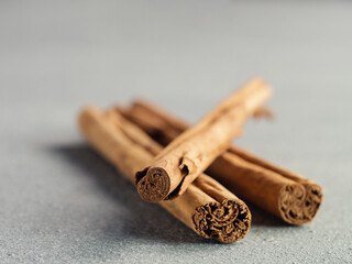 ceylon cinnamon sticks on gray background