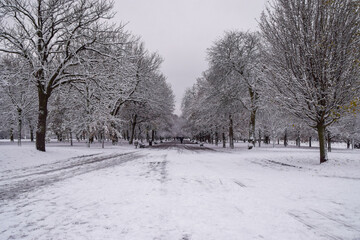 Regent's Park in London covered in snow