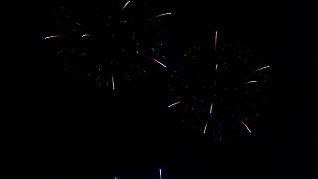 Magical Fireworks on Dark Sky Backgroudn Overlay