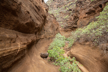 canyon called Barranco de las vacas located in heart of Grand Canaria, Canary Islands, Spain