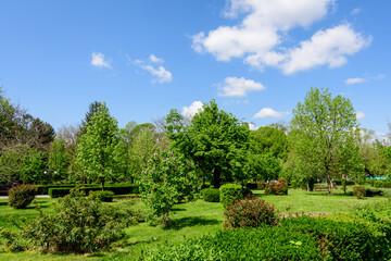 Landscape with vivid green trees and grass in Chindia Park (Parcul Chindia) from Targoviste city in Romania in a sunny spring  day with white clouds and blue sky