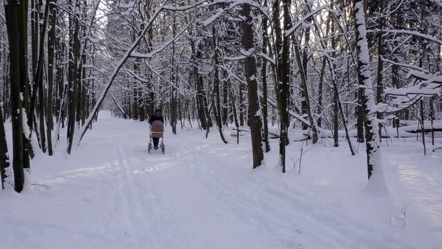 Girl with the baby carriage is walking in a winter forest park.
