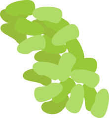 Healthy food flat icon Organic green vegetable