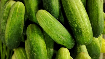 a pile of fresh cucumber sell in market after being harvested from field