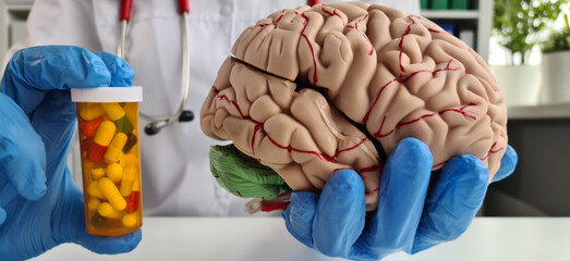 Doctor hand holds drug model of human brain